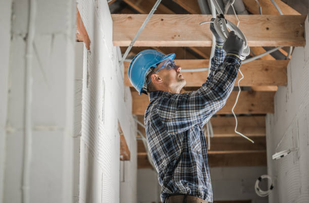 Best Industrial Electrical Services  in Eaton Rapids, MI
