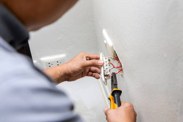 Best Home Electrical Repair  in Eaton Rapids, MI