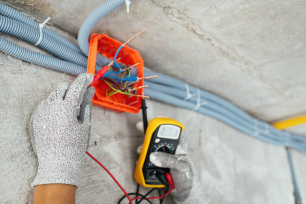 Best Electrical System Inspection  in Eaton Rapids, MI